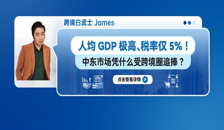 人均GDP极高、税率仅5%！中东VAT凭什么受跨境圈追捧？