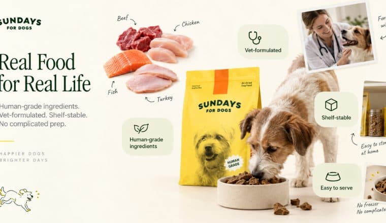 独立站优秀案例分析:Sundays for Dogs如何把高品质狗粮卖成订阅服务
